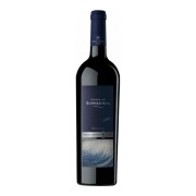 Miguel Torres - Conde De Surperunda Tempranillo-Sauvignon-Carmenère-Monastrell - 0.75L - 2013