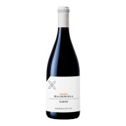 Cottini - Amarone della Valpolicella Classico - 0.75L - 2017
