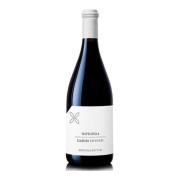 Azienda Agricola Cottini - Valpolicella Classico Superiore - 0.75L - 2020