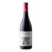 Ammura - Etna Rosso - 0.75L - 2022