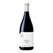 Cottini - Valpolicella Classico - 0.75L - 2024