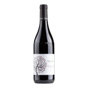 Bel Colle - Barbera d’Alba Superiore Le Masche - 0.75L - 2022
