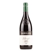 Cantina Damilano - Langhe Nebbiolo - 0.75L - 2023