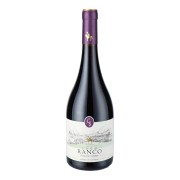 Casa Silva - Lago Ranco Pinot Noir - 0.75L - 2023