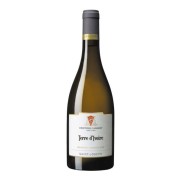 Cave de Tain - Saint-Joseph Terre des d’Ivoire Blanc - 0.75L - 2022