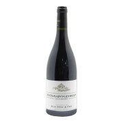 Domaine Jean Féry & Fils - Nuits-Saint-Georges Premier Cru Les Damodes - 0.75L - 2021