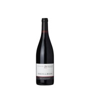 Domaine Jean-Marc & Hugues Pavelot - Savigny-lès-Beaune Rouge - 0.375L - 2022