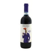 Fasoli Gino - Valpolicella Ripasso BIO - 0.75L - 2021
