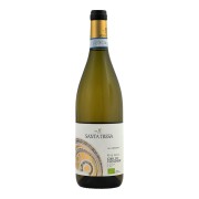Feudo di Santa Tresa - Rina Ianca Grillo Viognier BIO - 0.75L - 2024