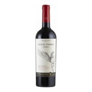 Miguel Torres - Andica Cabernet Sauvignon Gran Reserva - 0.75L - 2022