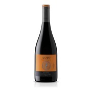 MontGras - Antu Syrah - 0.75L - 2023