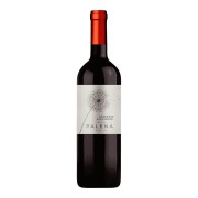 Palena - Cabernet Sauvignon - 0.75L - 2022