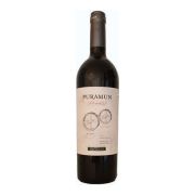 Puramun - Co-Fermented Malbec-Petit Verdot - 0.75L - 2013