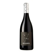Sietejuntos - Syrah - 0.75L - 2011