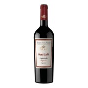 Tenuta Sant’Antonio - Valpolicella Ripasso Monti Garbi - 0.75L - 2022