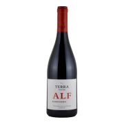 Terra d’Alter - Alfrocheiro - 0.75L - 2022