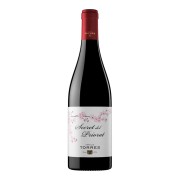 Torres - Secret del Priorat - 0.75L - 2022