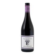 Villa Blanche - Piquepoul Noir - 0.75L - 2024