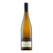 Weingut Bischel - Estate Grauer Burgunder - 0.75L - 2025