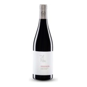 Weingut Paul Achs - Gols Ried Ungerberg Blaufränkisch - 3L - 2013