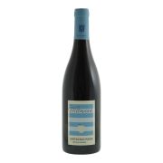 Weingut Wittmann - Spätburgunder Trocken BIO - 0.75L - 2022