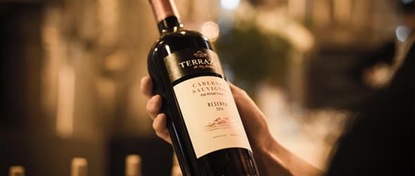 vinos terrazas