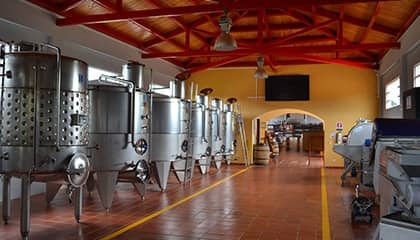 bodega progetti agricoli
