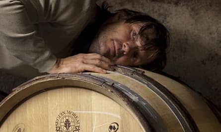 velich vino