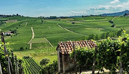 villa giada andrea faccio vino